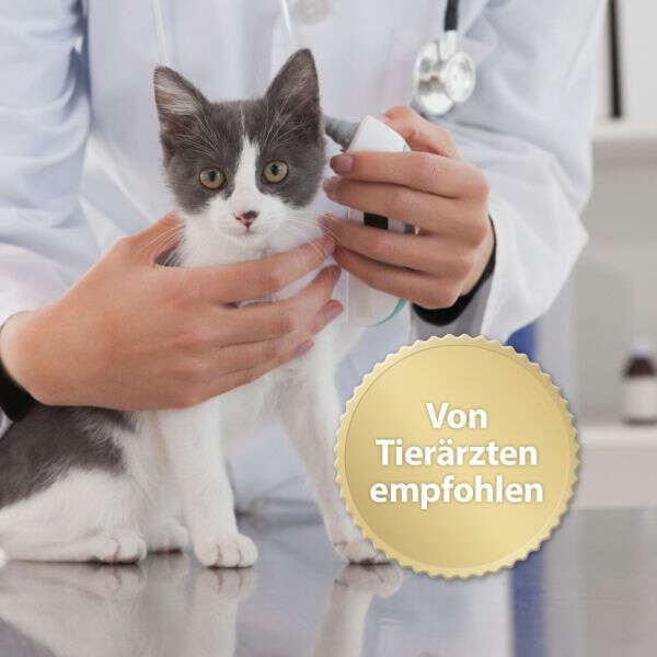 Felisept Family Comfort Set für Mehrkatzenhaushalt